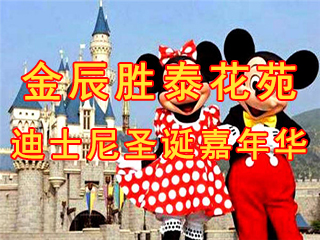 金辰胜泰花苑迪士尼嘉年华12.11盛大开启
