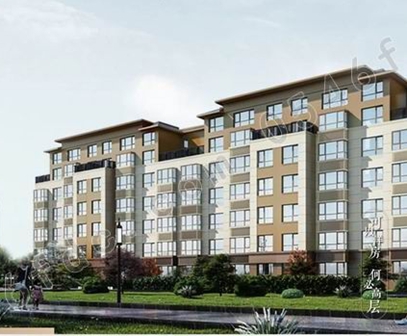 【金辰雅居】4栋电梯洋房获预售120-140㎡全明户型