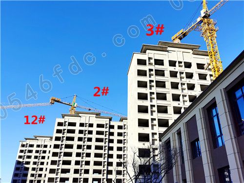 【金辰西湖学都】10#、19#楼获预售 学府洋房热卖