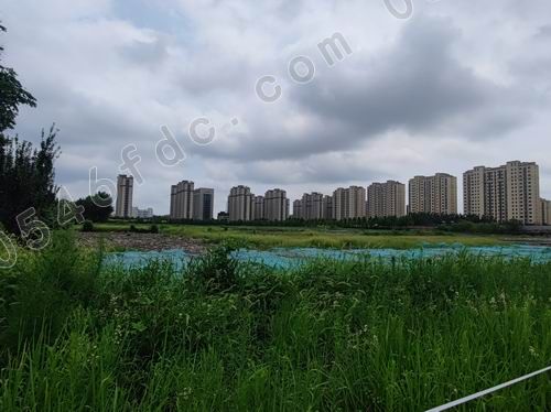 10.20东营土拍：东辛片区三宗地块入账5.987亿 金辰