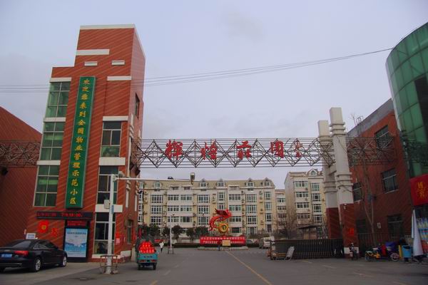 金辰辉煌庄园项目实景