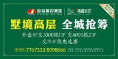 金辰西湖水岸湖景洋房 墅境高层全城抢筹