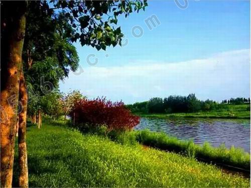 调整大小 12.webp.jpg