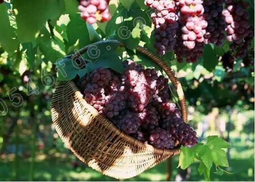 调整大小 14.webp.jpg