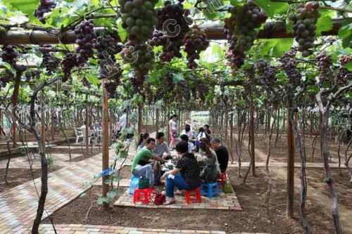 调整大小 13.webp.jpg