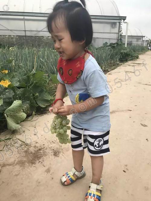 调整大小 20170826_182507_010.jpg