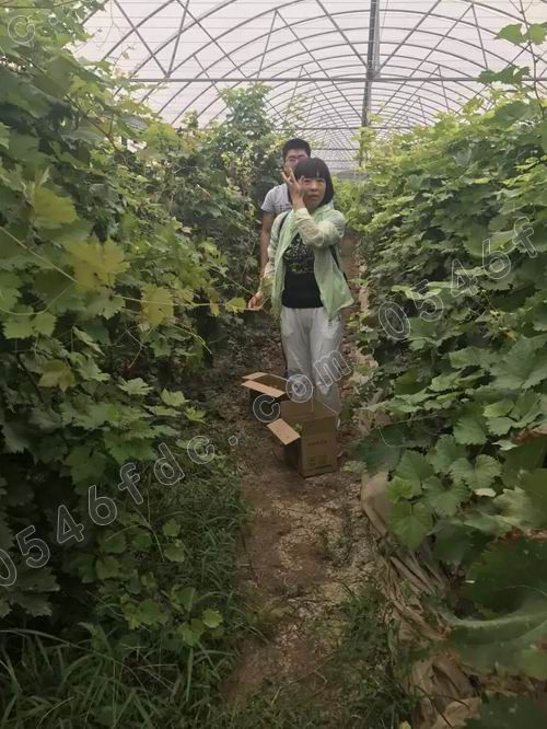 调整大小 20170826_182507_002.jpg