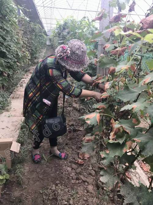 调整大小 20170826_182507_005.jpg