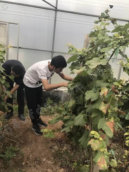 调整大小 20170826_182507_006.jpg