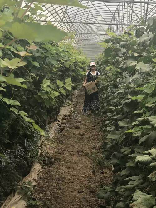 调整大小 20170826_182507_003.jpg