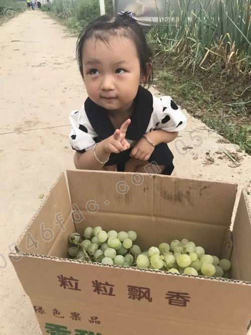 调整大小 20170826_182507_009.jpg