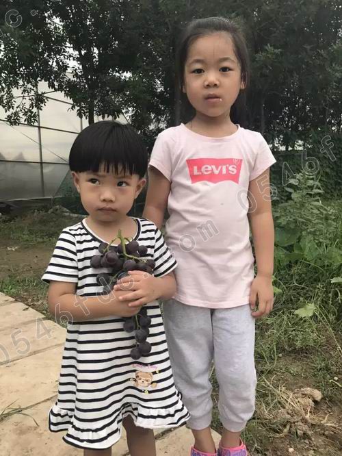 调整大小 20170826_182507_008.jpg