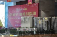 【金辰富海广场二期】咖啡品鉴11.26香浓落幕