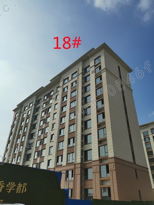【奥体学都】120-200㎡精妆小高层热销暨8月工程进